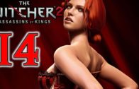 The Witcher 2: Assassins of Kings playthrough #14 Troll Trouble