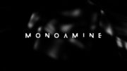 Altair – Monoamine