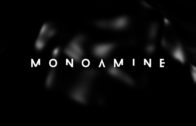 Altair – Monoamine